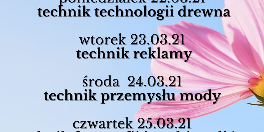 Miniaturka wpisu