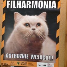 Podziękowania dla Filharmonii Dolnośląskiej