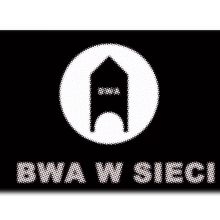 BWA w sieci. Spotkanie z Michałem Niewiarą prowadzi Pan Radosław Ejsymont